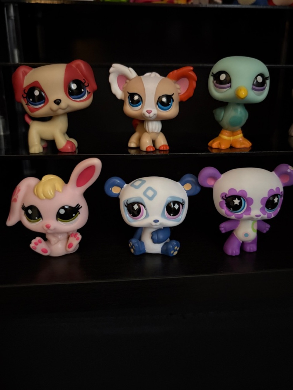 littlest pet shop lot of 6